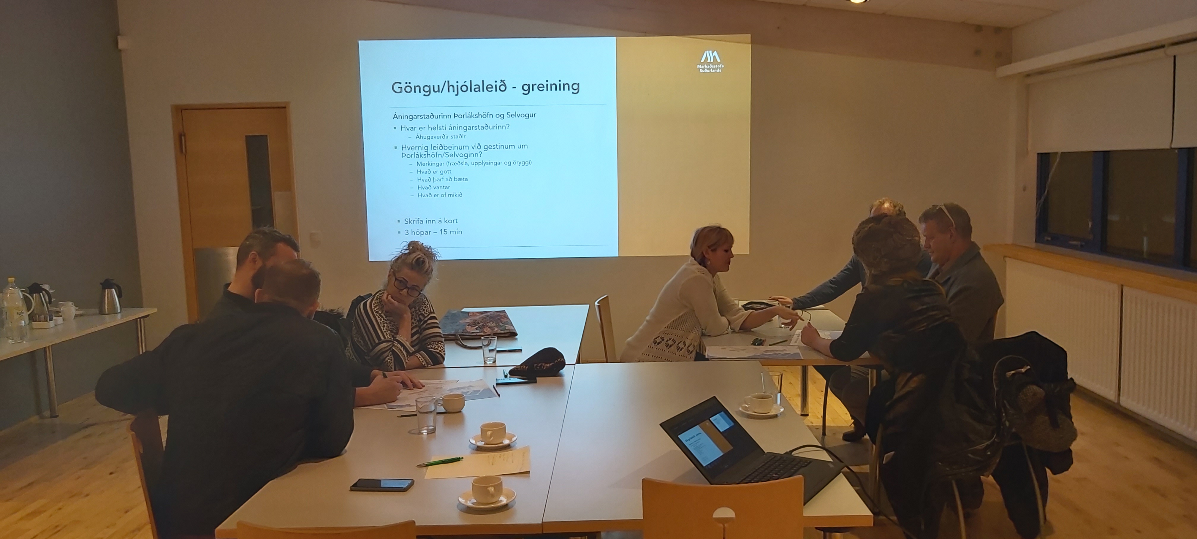 Vitaleiðin í vinnslu