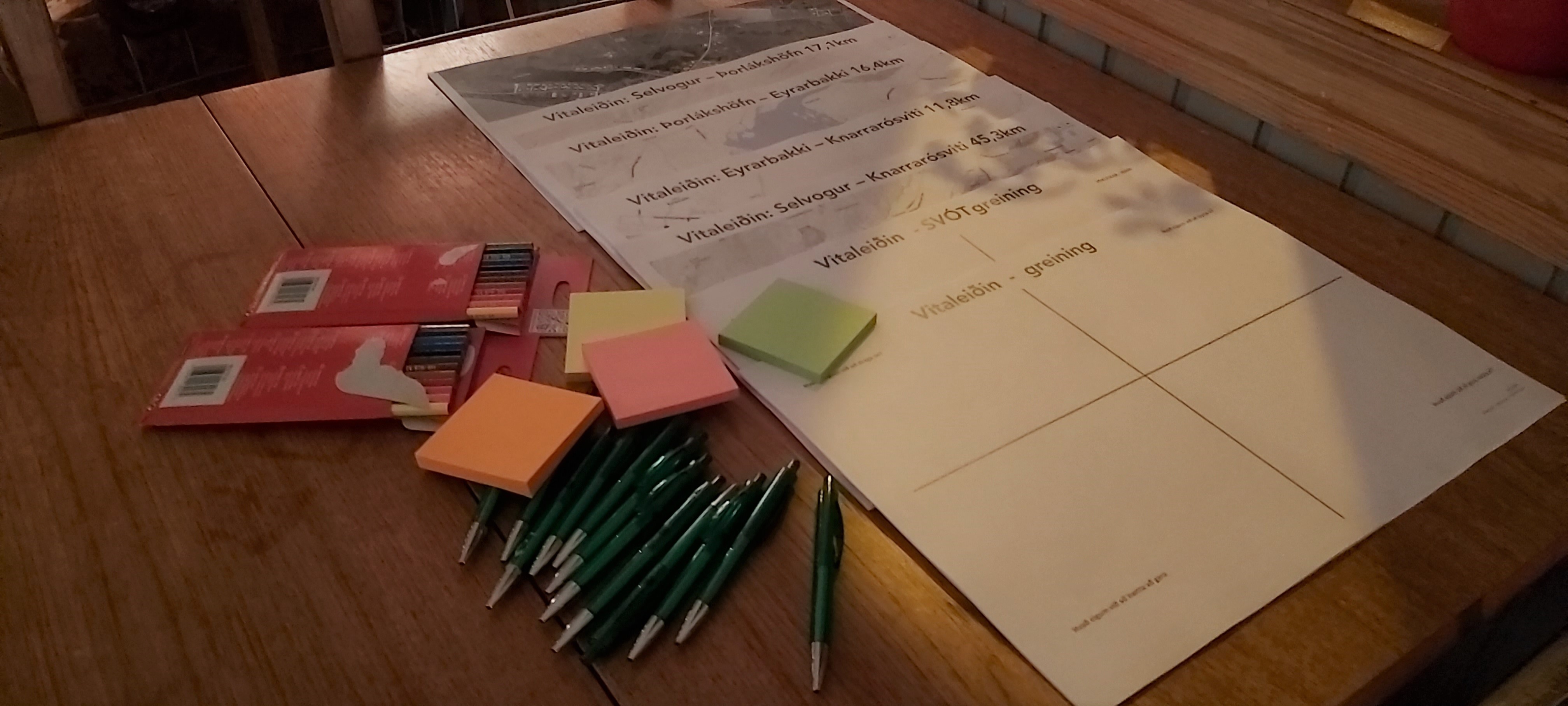 Vitaleiðin í vinnslu