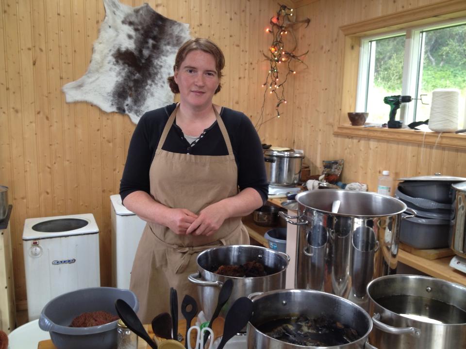 Icelandic wool simmering in a dye bath made from lupine