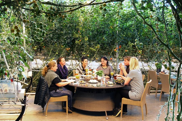 Friðheimar At Friðheimar, the principle has been to grow tomatoes with optimum taste quality while maintaining eco-friendly standards.