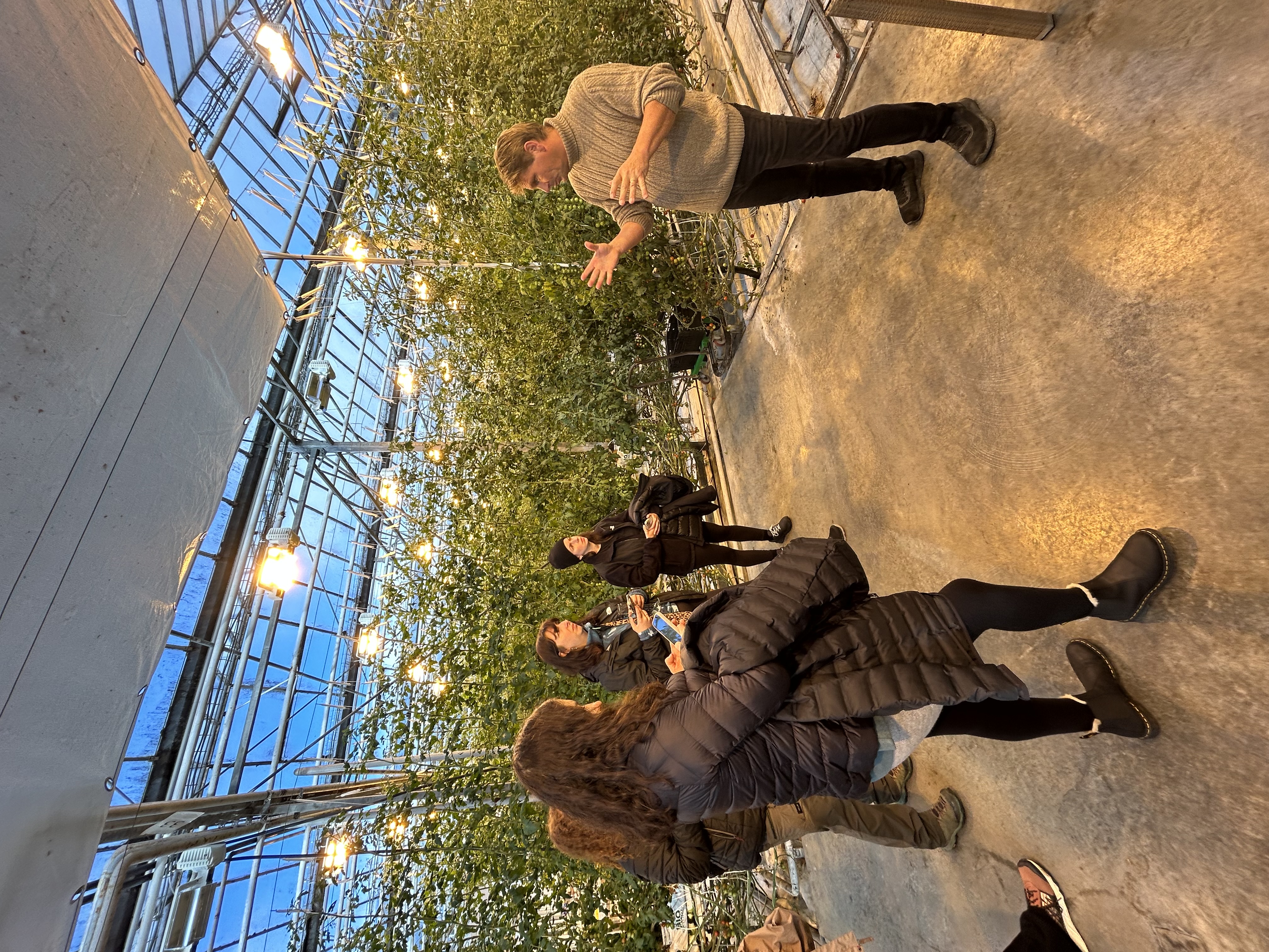 Hópurinn fær fræðslu um tómata hjá Knúti í Friðheimum