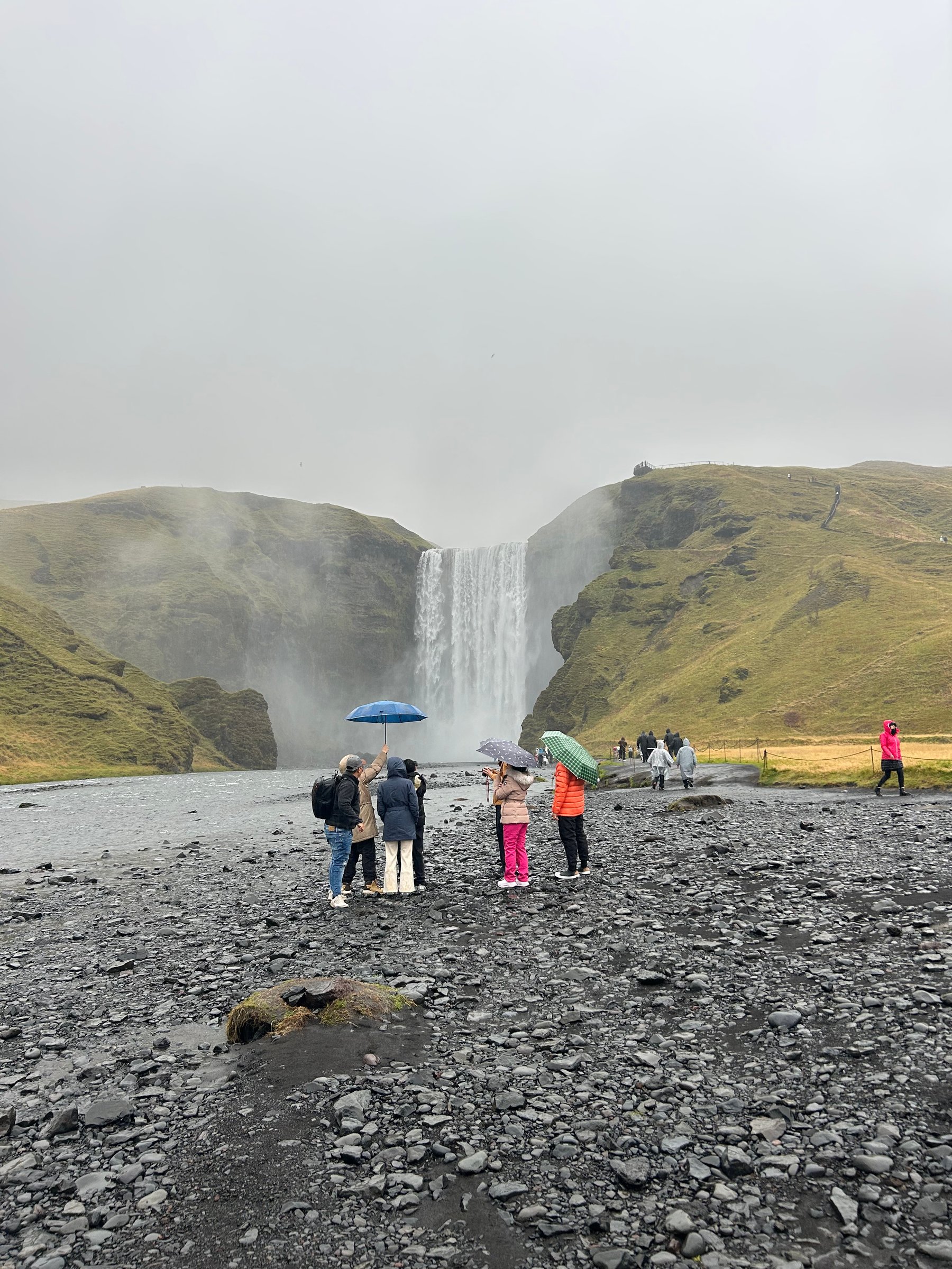 Hópurinn virðir fyrir sér Skógafoss