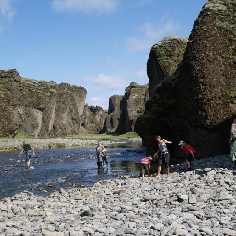 fja-r-rglj-fur_litil