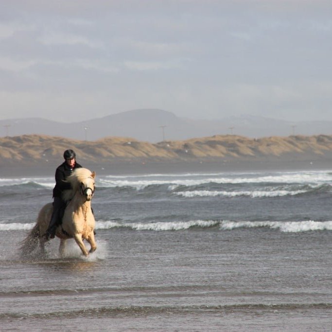 icelandic-horse-riding-on-the-beach-1--is