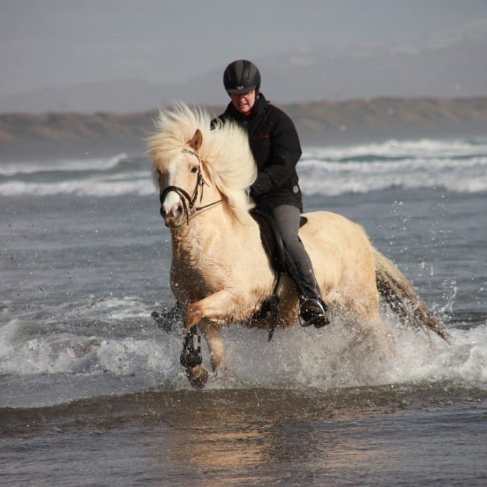icelandic-horse-riding-on-the-beach-2--is