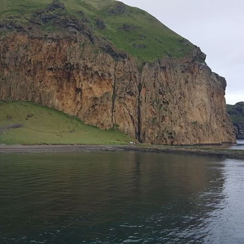 35144008_10156438031034243_6871135868946481152_n