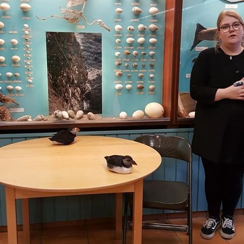 35156904_10156438031749243_2742062195855589376_n