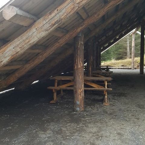 35228511_10156438033889243_7527550053100027904_n