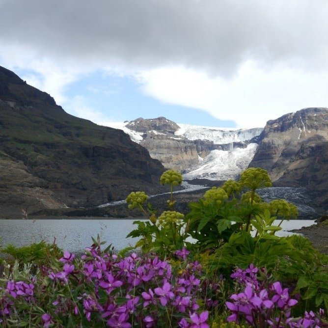 skaftafell-mors-rj-kull-go_litil-is