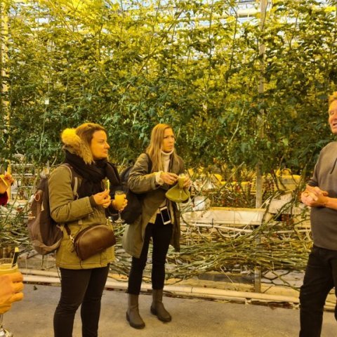 Kynning á Friðheimum