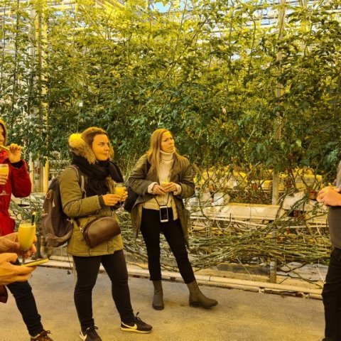 Kynning á Friðheimum