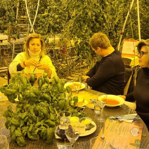 Hádeigismatur hjá Friðheimum