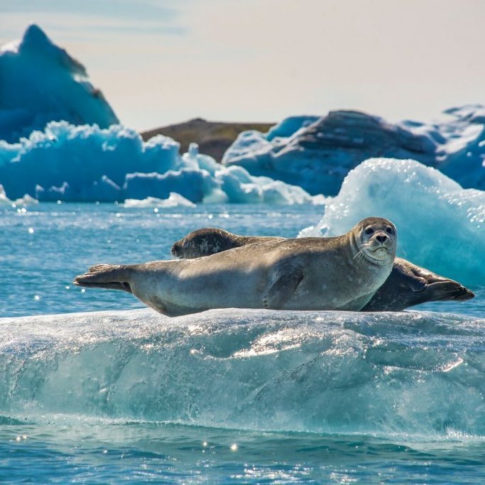 large-jokulsarlon-selir-thorvardur-arnason-20