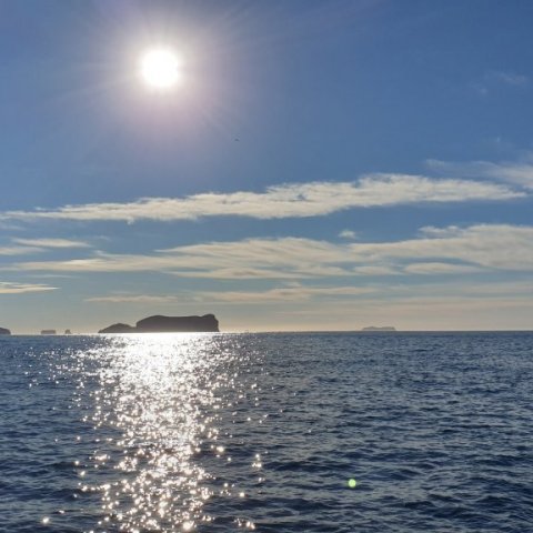 Ribsafari - Teistan_9