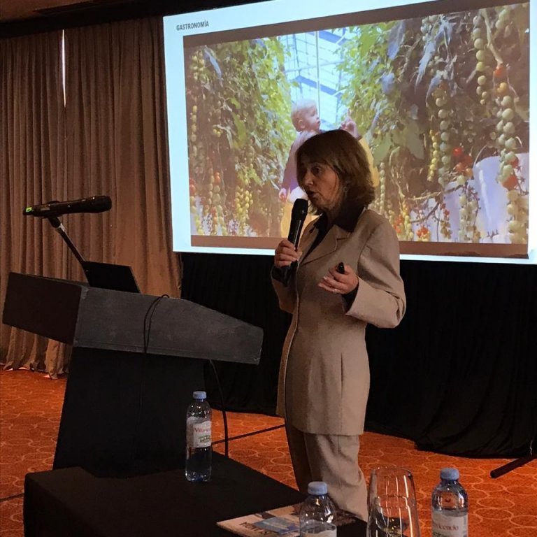 sigga-presentacion-4