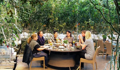 Enjoying the freshness of Friðheimar in South Iceland